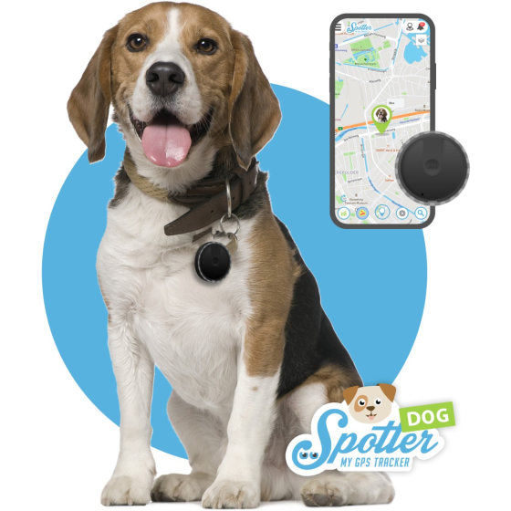 Spotter GPS tracker voor honden — Nederlands merk zonder abonnement